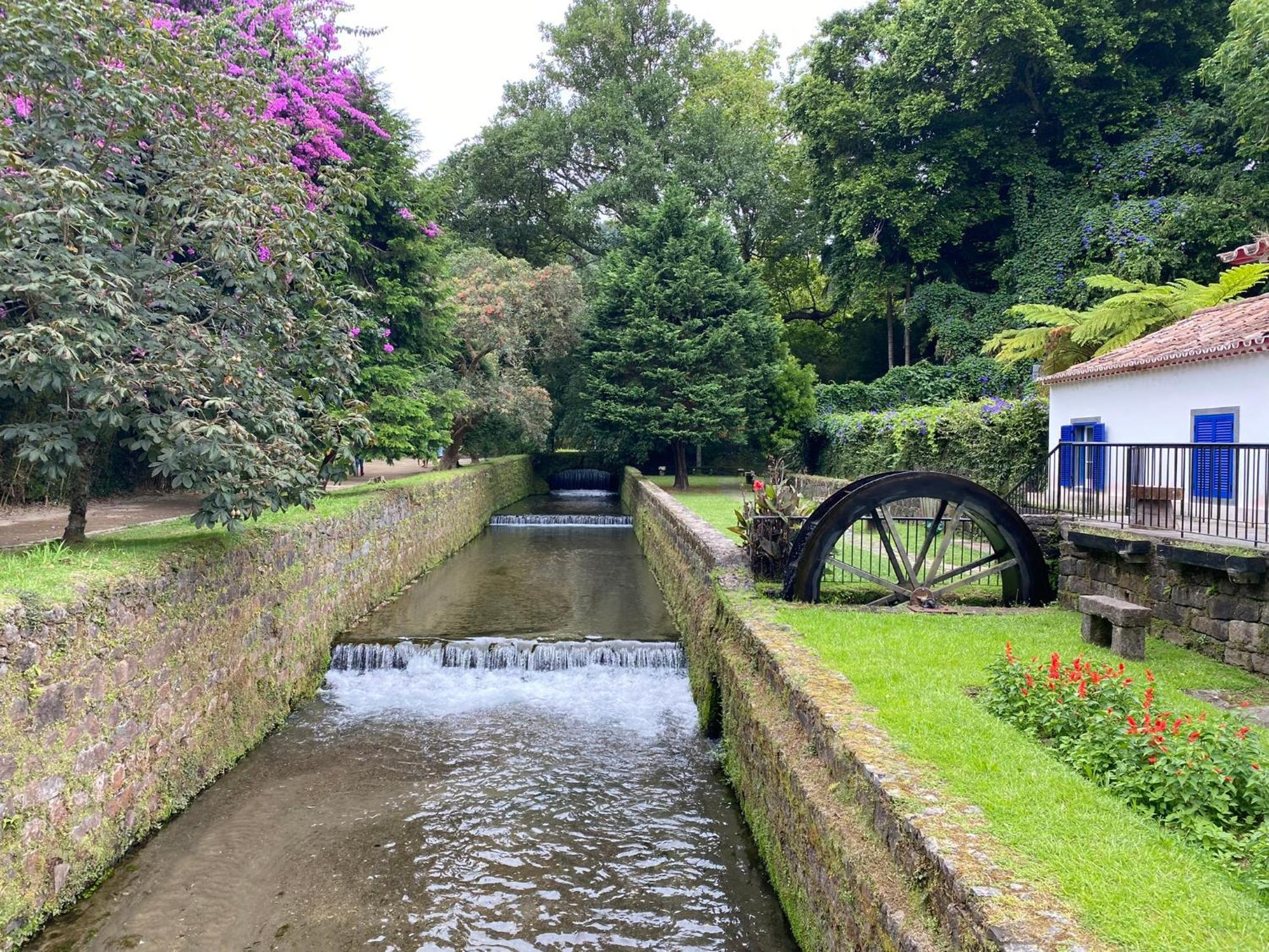 Iris House Al Azores ポンタ・デルガダ エクステリア 写真