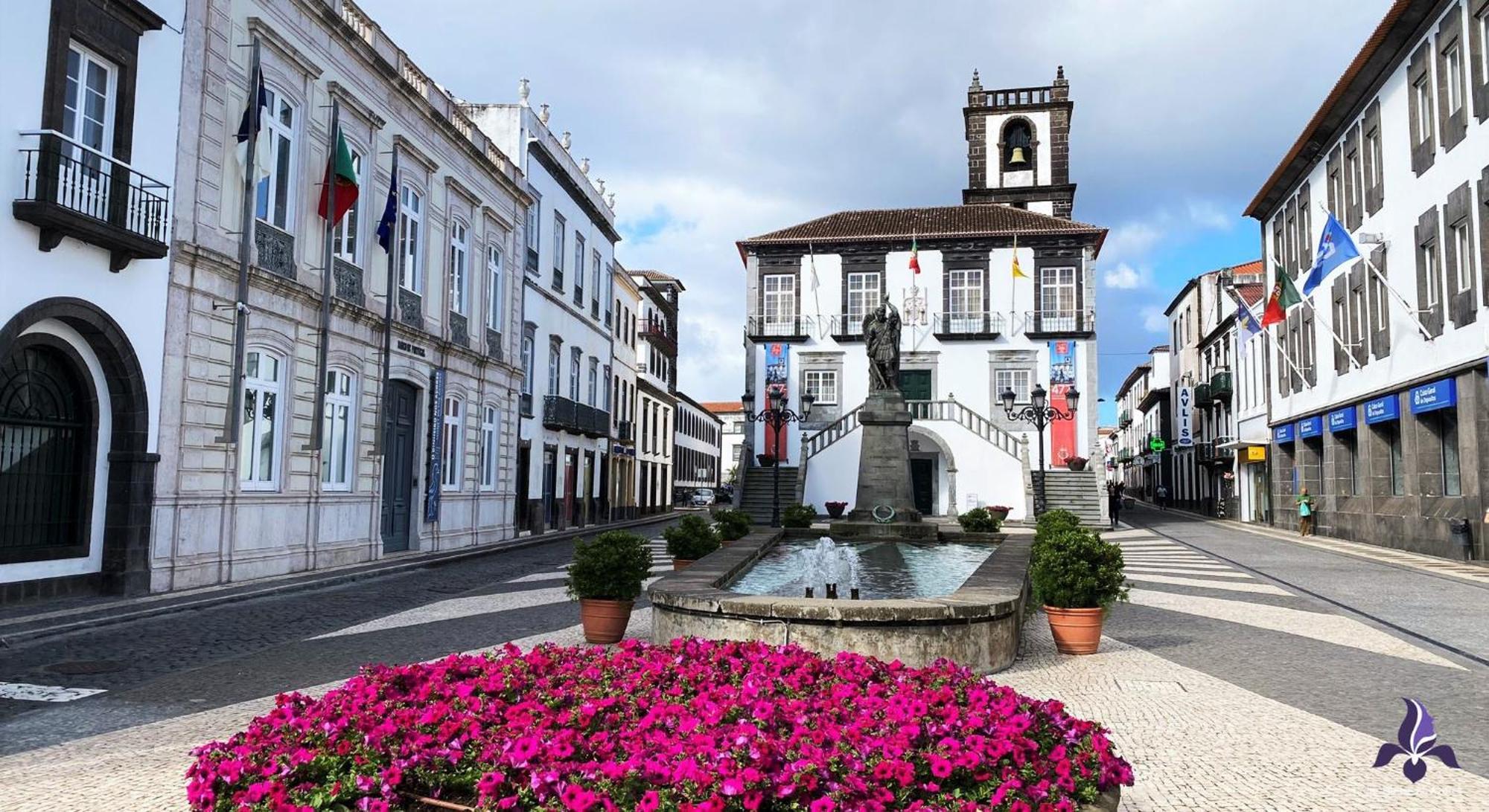 Iris House Al Azores ポンタ・デルガダ エクステリア 写真